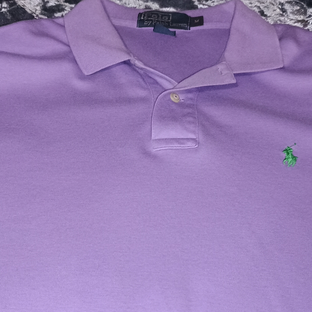 Polo by Ralph Lauren Classic Polo in Purple and Green